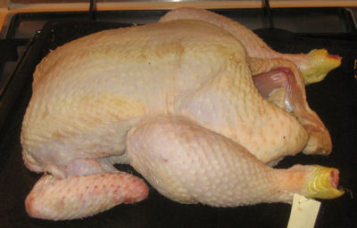 A bloody big chicken