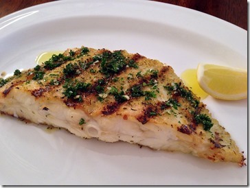 turbot